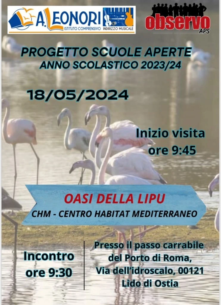 visite-guidate-3